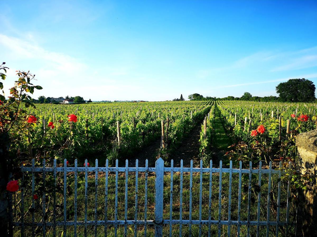 La Maison Des Vignes Saint Emilion Eksteriør bilde